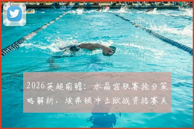 2026英超前瞻:水晶宫联赛抢分策略解析,埃弗顿冲击欧战资格赛关键战分析