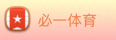 必一体育 Logo